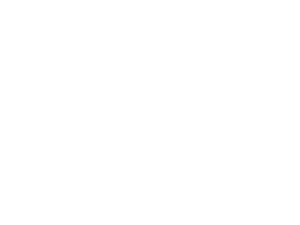 desenvolvimento de websites Profissionais